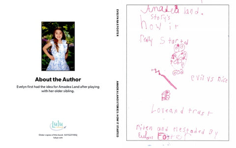 Amadea Land Stories: How it Started