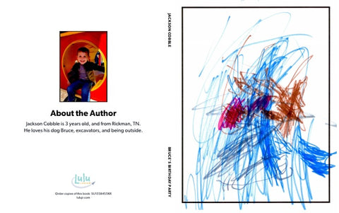 Bruce's Birthday Party