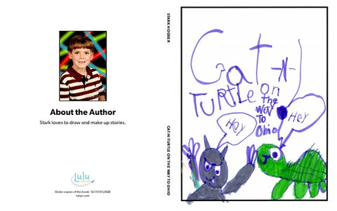 Cat-N-Turtle on the way to Ohio