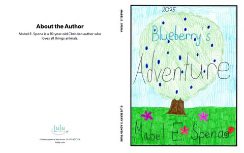 Blueberry's Adventure