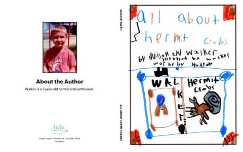 All About Hermit Crabs