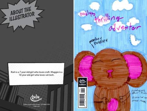 Bradley's Thrilling Adventure