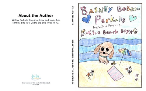 Barney Bobson Perkalis- The Beach Boy