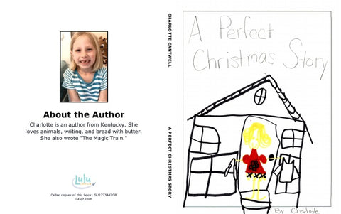 A Perfect Christmas Story