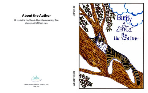 Buddy a Zen Cat
