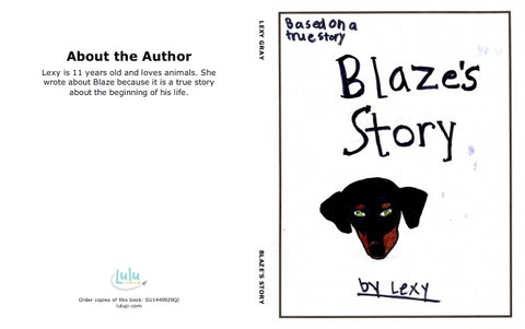 Blaze's Story