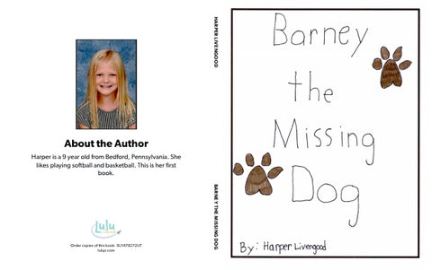 Barney the Missing Dog