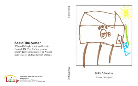 Bob's Adventure