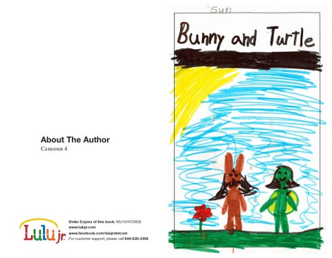 Bunny and Turtle