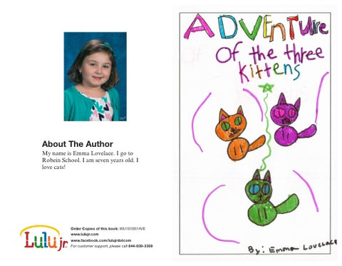 Adventure of the Three Kittens